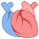Cardiometabólicos